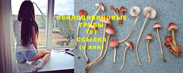 кокаин колумбия Алексин