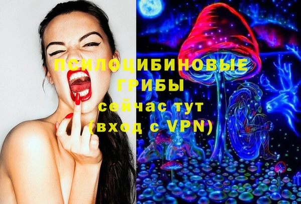 гидропоника Алзамай