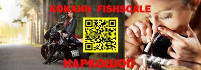 шишки Изобильный