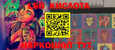 шишки Изобильный