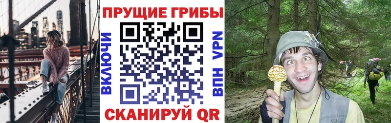 наркота  Глазов  Псилоцибиновые грибы Magic Shrooms 