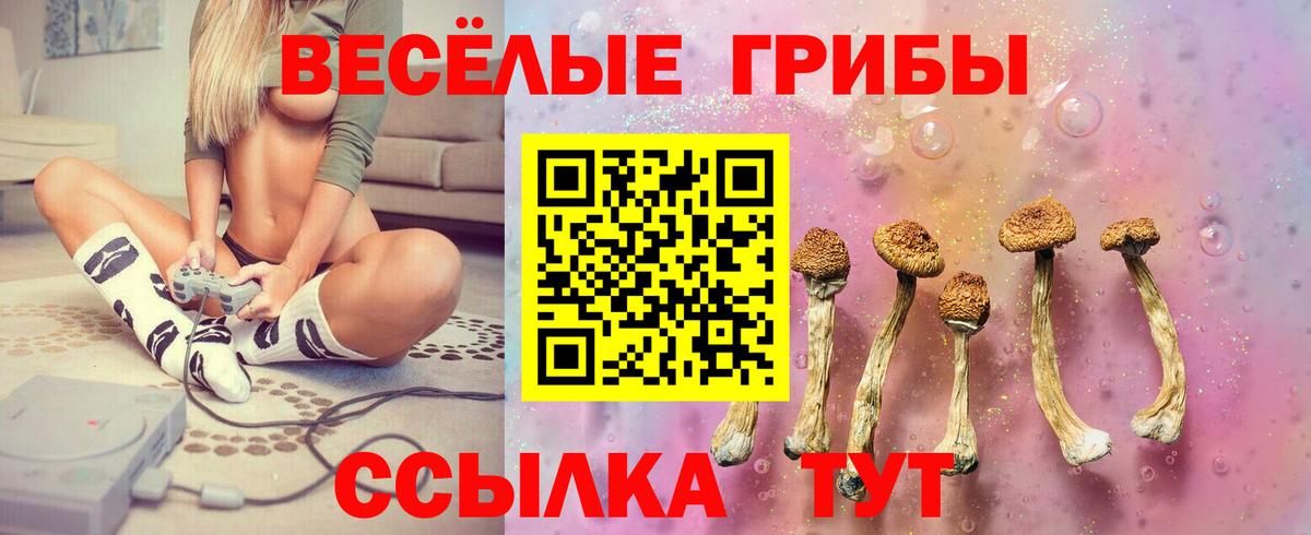 Галлюциногенные грибы Magic Shrooms  Вход с VPN  Глазов  Псилоцибиновые грибы Psilocybine cubensis 